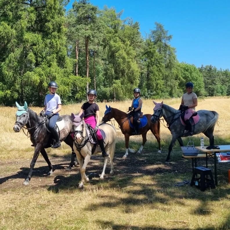 PHOTO-2023-06-28-19-10-27 11